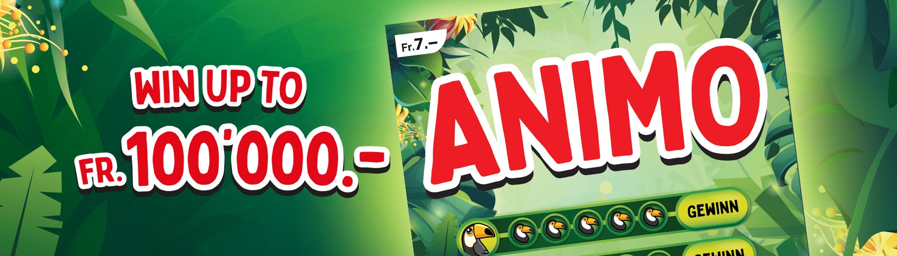 Header_Animo