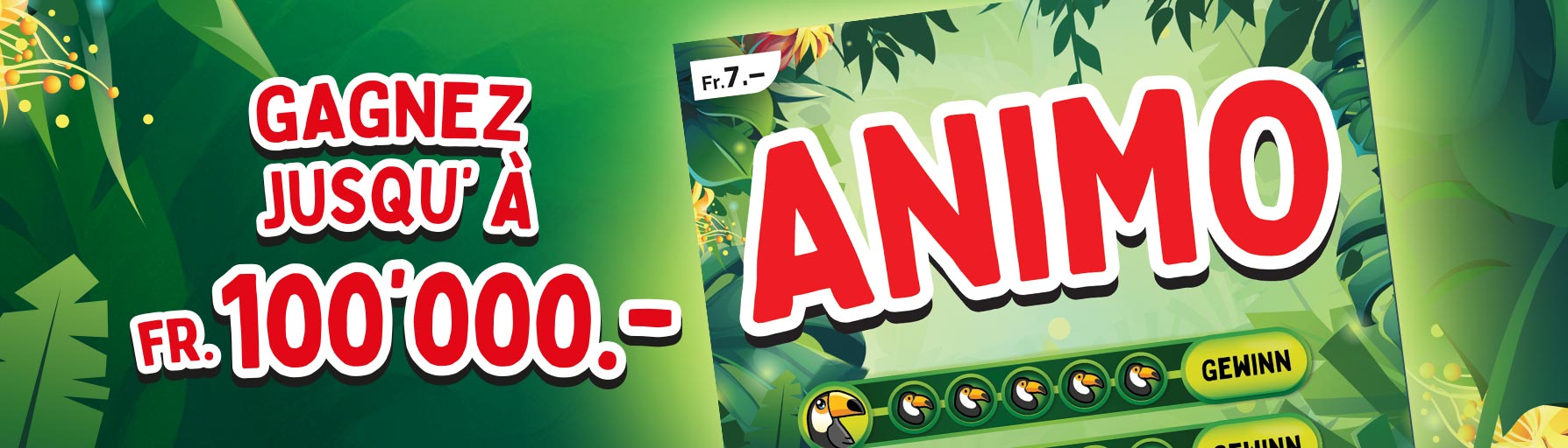 Header_Animo