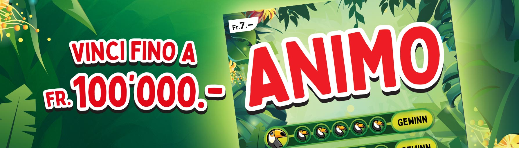 Header_Animo